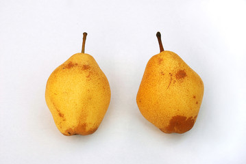 Pear 05
