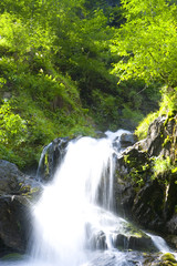 Bachlauf in Österreich