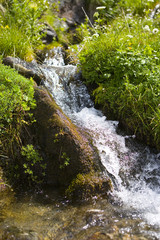 Bachlauf in Österreich