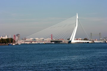 Fototapeta na wymiar Most Erazma w Rotterdamie