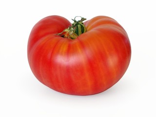 Very large, striped tomato. 