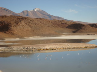 Lac peupl&eacute; de flamants roses.