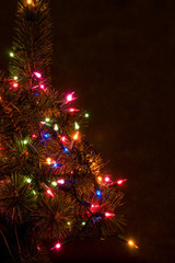 Fototapeta na wymiar Christmas tree at night