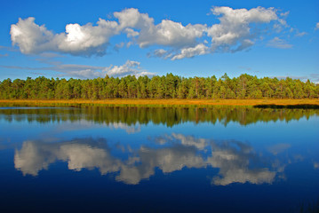 Obraz na płótnie Canvas Reflection on still lake