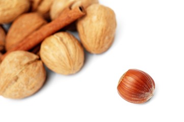 composition of walnut, cinnamon and hazelnut isolated on white b