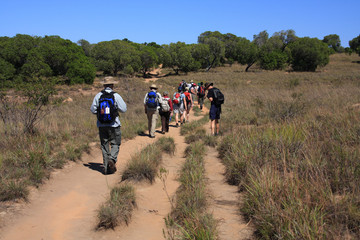 Isalo National Park