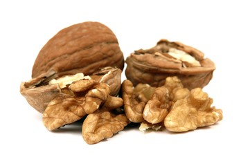 pieces of walnuts on white background