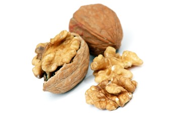 pieces of walnuts on white background