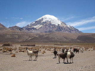 Sajama, volcan d'Amérique latine.