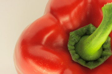 Paprika