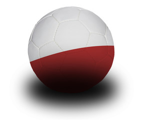 Fototapeta premium Polish Football