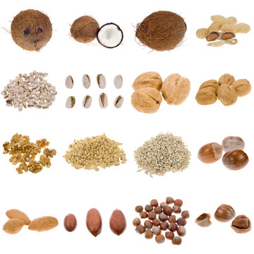 nuts and seeds collection