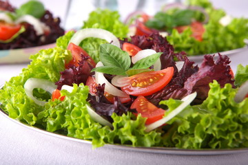 Fresh salad with onion, tomato and basil