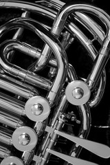French Horn Detail
