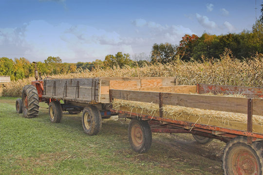 Fototapeta HAY RIDE
