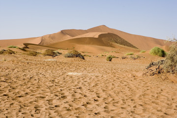 Desert Mountains