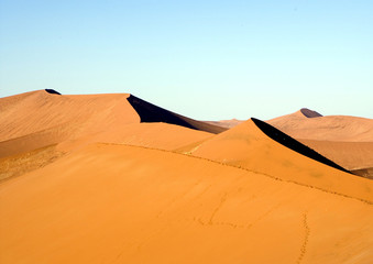 Fototapeta na wymiar Dunes in Africa