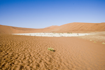 In The Middle Of Nowhere #2