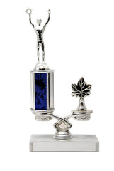 Silver Trophy Award with Empty Nameplate