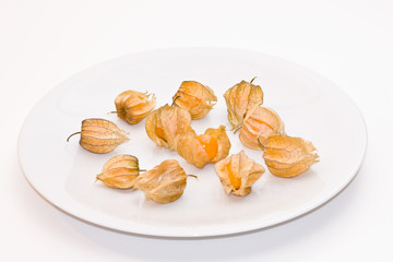Kapstachelbeere Physalis peruviana