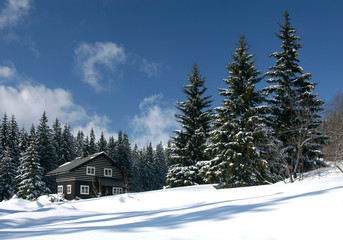 Ski Resort Refuge