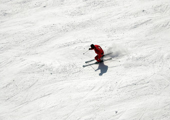 The Skier