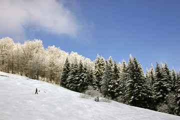 Fototapeta na wymiar Mountain landscape with skier