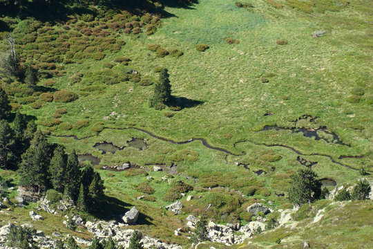 Tourbi&egrave;re,Rabassole,Ari&egrave;ge dans le sud de la france