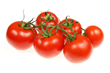 Red tomatos