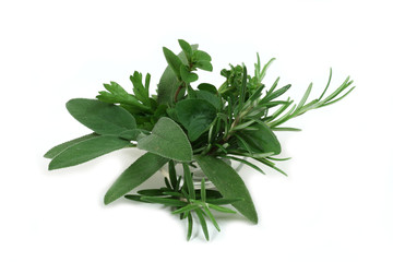 Aromatic herbs for cooking