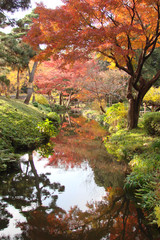 Automne à Tokyo