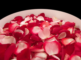 Beautiful Red Roses Petal In A Big Bowl