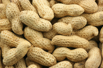 Peanuts shell backgorund
