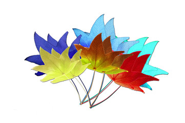 Autumn leaves in multicolors on white background