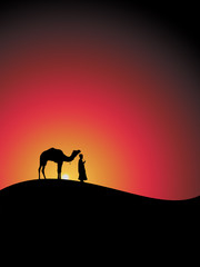 Fototapeta na wymiar Camel in desert