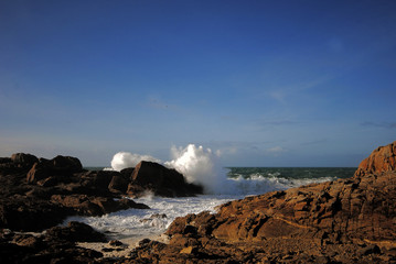 vague sur la côte