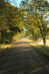 Obraz premium Morning Nature Route