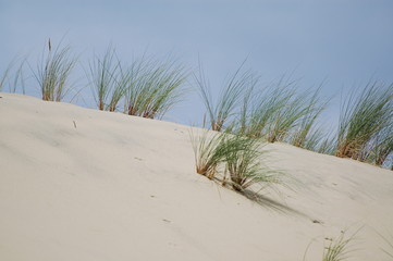 Dune de sablre