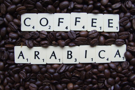 Coffee arabica