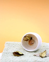 Spa essentials (cream, white towel and flowers) 