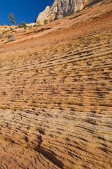 Landscape Zion National Park