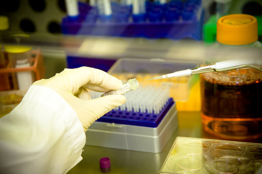 A scientist doing a research and working at the lab