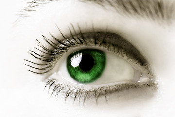 Green eye. Extreme close-up. High key.