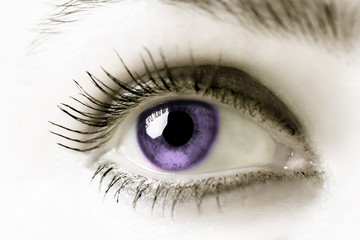 Purple eye. Extreme close-up. High key.