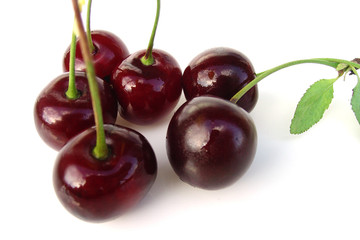 cherry