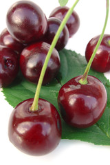 cherry