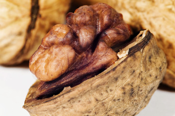 Walnut in closeup by macro lens
