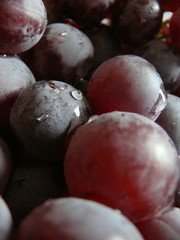 raisins en macro