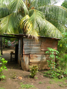 native house sheet metal tin jungle   corn island nicaragua 