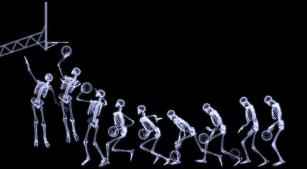 Xray Of Human Skeleton Playing Basketball